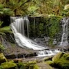 Water cascades through Mount Field National Park, Tasmania