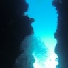 Diving at Poole's Rock and Hat Island, Vanuatu