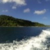 Diving with Big Blue Vanuatu, Bougaainvillaea Reef