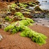 Red Rocks and Blue Sky, Freycinet Nat Park, Tasmania