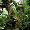 Mele Cascades, Port Vila Vanuatu