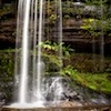 Water cascades through Mount Field National Park, Tasmania