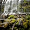 Water cascades through Mount Field National Park, Tasmania