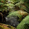 Water cascades through Mount Field National Park, Tasmania