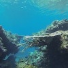 Snorkelling at Poole's Rock and Hat Island, Vanuatu